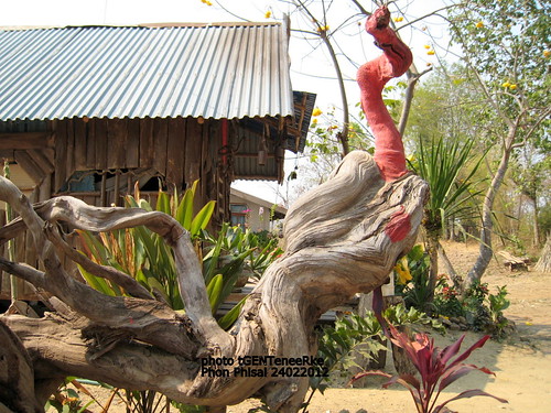 Farm in Nong Bua Lam Pu 6 by tGenteneeRke along the Mekong river