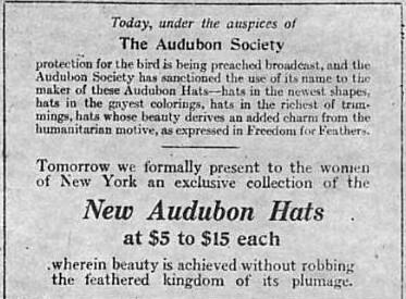 Audubon Hat