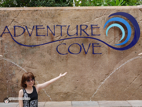 adventure cove