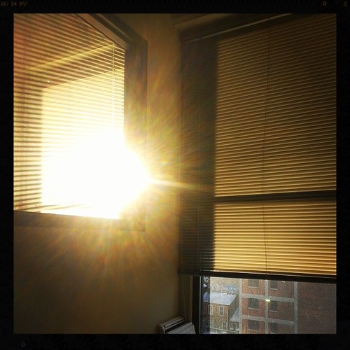 Thank goodness for the sun flooding into my office. #SoWarm #BabyItsColdOutside