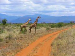 Kenya (2009)