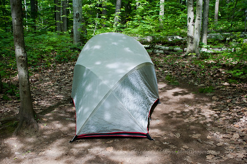 The Single Tent