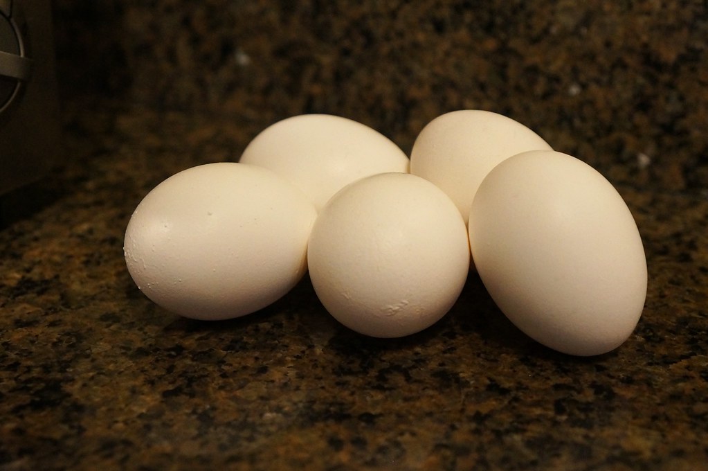 Eggs for Protein - Sean Koetting