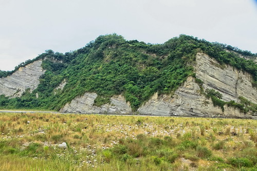 溪卓蘭層剖面是出露在烏溪河畔的裸露岩壁常吸引人的目光。（圖片來源：林務局）