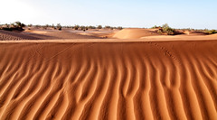 2013 04 Sahara
