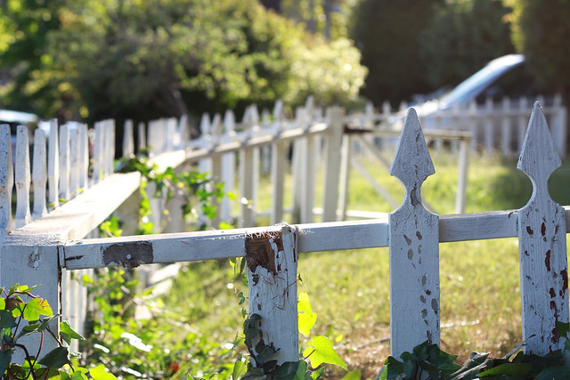 picket fence, mill valley