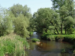 River Ner