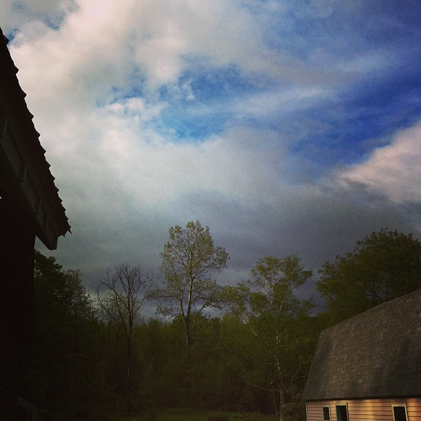 Blue skies, smiling at me. #farm #homestead