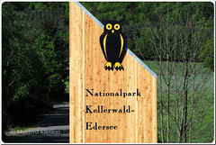 • " Nationalpark Kellerwald-Edersee " • Germany •