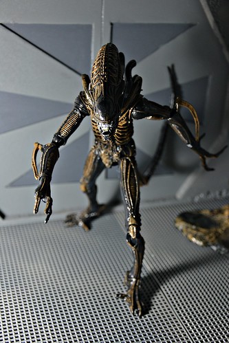 Xenomorph Warrior Alien