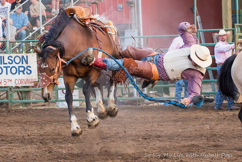 Benton County Fair and Rodeo 2013-6959