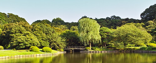 池と柳と橋 by leicadaisuki