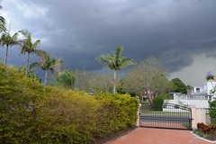 Brisbane Storms