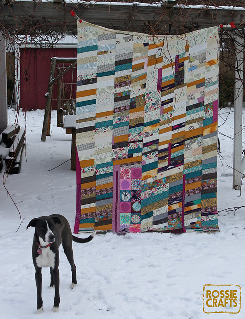 Ron the Half Chevron Quilt Top - whole thing with dog