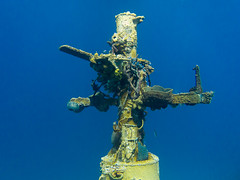 Bahamas diving