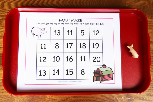 Farm Maze with Pig