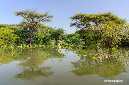 Kenya - Lake Baringo 18