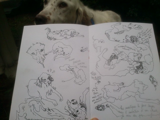 Normandy Holidays Homework #2 - pen dogs pic