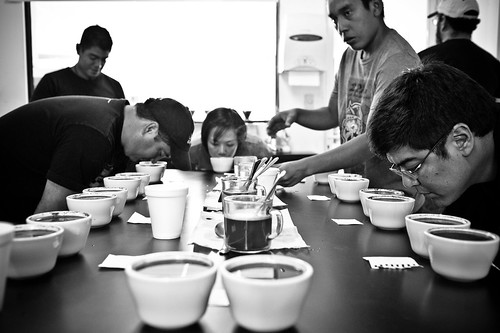 Cupping with champions
