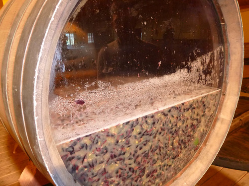 Detalle del proceso de fermentación