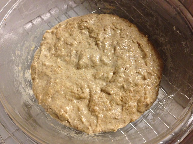 Dough after extended autolyse