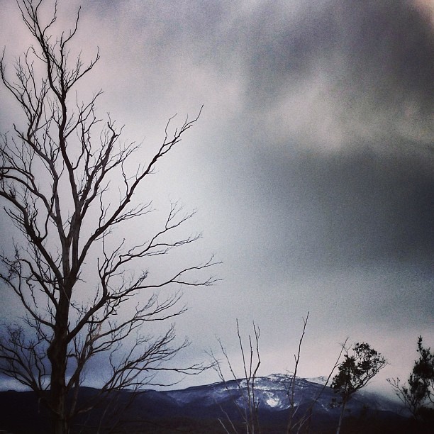 A nice little drop of snow on the mountain. || #mountwellington #thepassofcaradhras