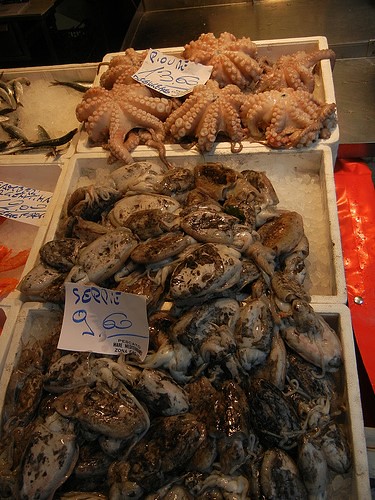 DSCN3115 _ Pescheria, Fish Market, Rialto Mercato, Venezia