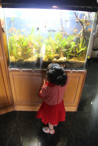 Nerjis Has Her Fishes In Marziyas Fish Tank ... by firoze shakir photographerno1
