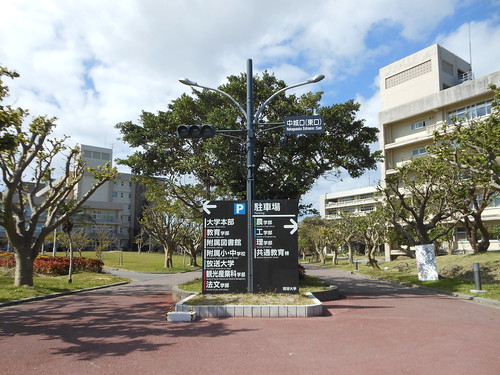 琉球大学7