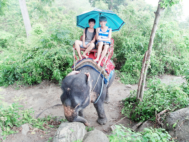 phuket elephant riding typicalben 7