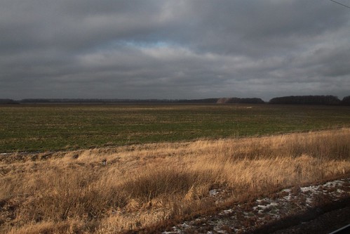 Open Russian fields beside the railway tracks in Ли́пецкая о́бласть (Lipetsk Oblast)