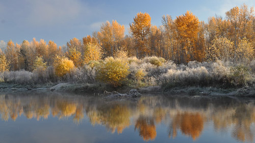 A surreal blend of colors harkens at winter yet provides peaceful warmth to fall on the Nez Perce National Forest in Idaho. While some may feel fall colors signals the end of summer, others see it as the beginning of the rebirth of spring. (U.S. Forest Service)