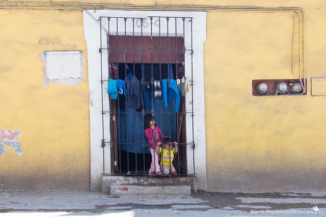 Мексика (Мехико-Пуэбла-Оахака-Пуэрто-Эскондидо-Сан-Кристобаль-Паленке), январь 2013