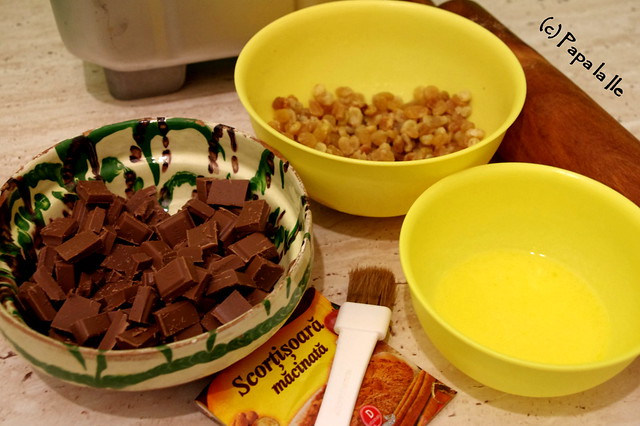Coronita cu ciocolata stafide si scortisoara (3)