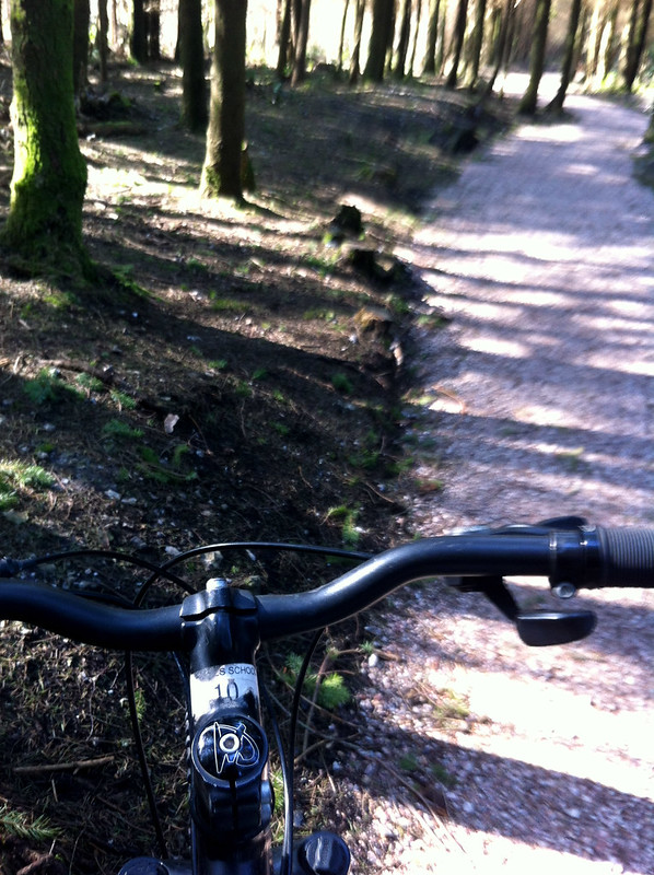 Haldon Forest Bike Hire