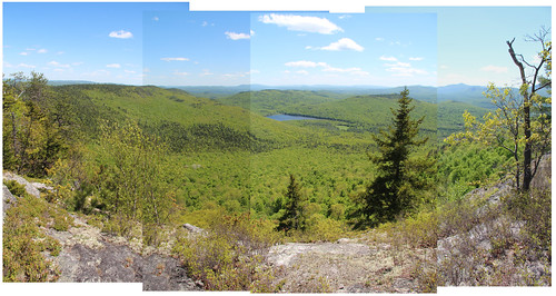 blueberry mountan panorama