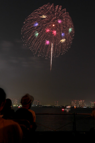 「昇曲導 銀閃 冠菊 小割浮模様」by 阿部正明 東京湾大華火 2013 Tokyo Bay Grand Fireworks