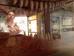Amy and Dinosaur Teeth