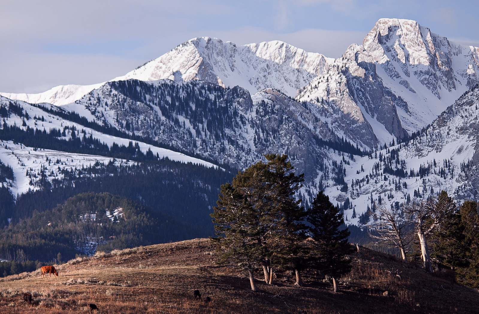 Montana is beautiful. : pics