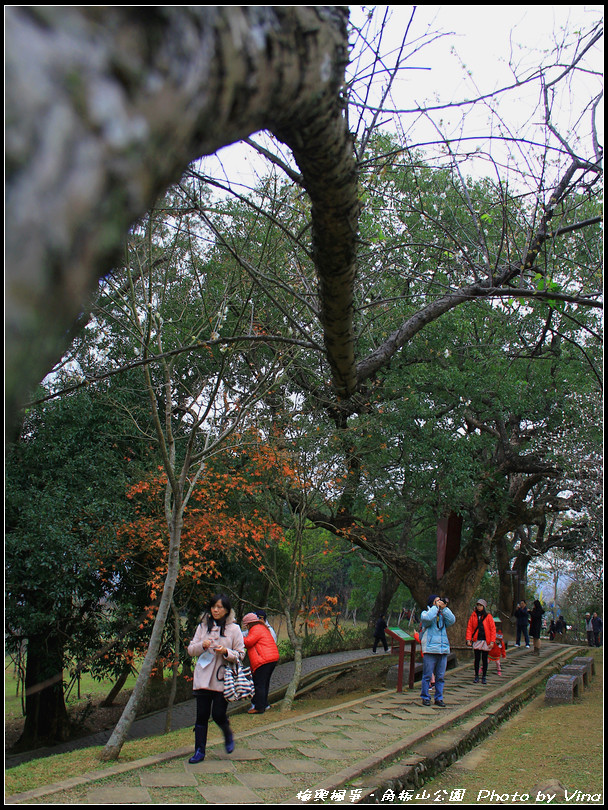 20140104角板山公園25