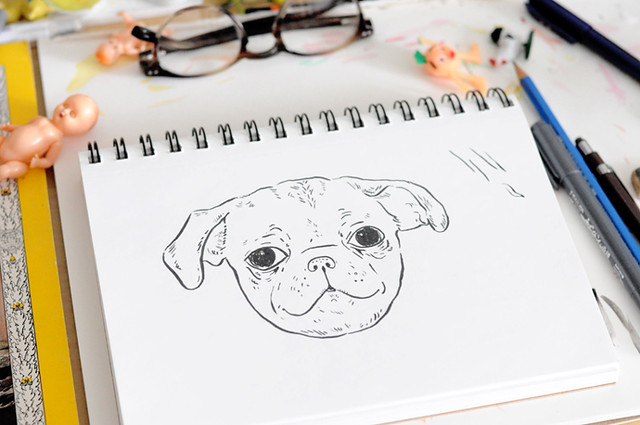 pug puppy drawing