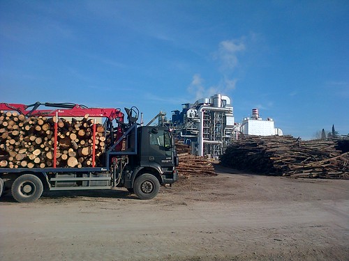 Suministro de 50.000 toneladas de biomasa forestal a Termosolar Borges
