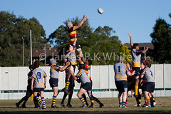 Hornsby Lions v Epping 060713