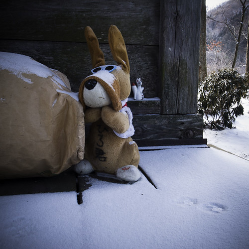 Temple Stuffed Rabbit, Inari Shrine Fox and Snow Tracks, Yakushi Onsen (Hot Spring)