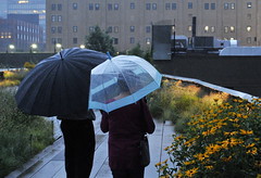 Rainy Photo Walk @ The High Line 2013-07-12
