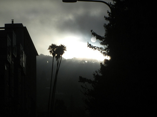 DSCN9199 _ Fog & Sun, Berkeley, CA