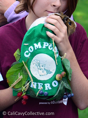 Compost hero
