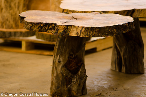 natural wood character pedestals