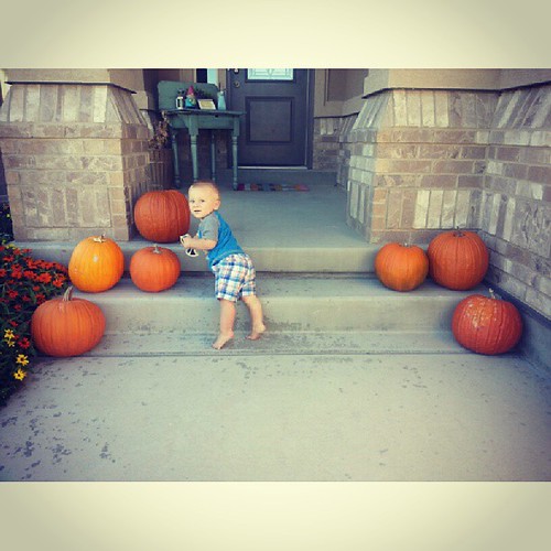 A Howden babe with his Howden pumpkins.  We grew 10 in our backyard and gave 3 to grandma