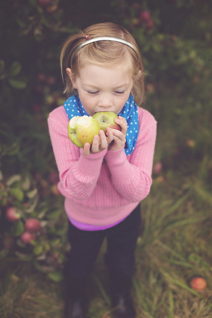 apple picking (46 of 85)-1